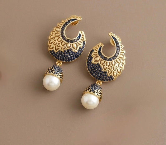 Matte finish blue pearl earrings-dj07654
